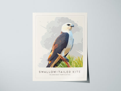 Swallow-tailed Kite Poster | Graceful Raptor in Flight Wall Art — giclée print detail on matte paper