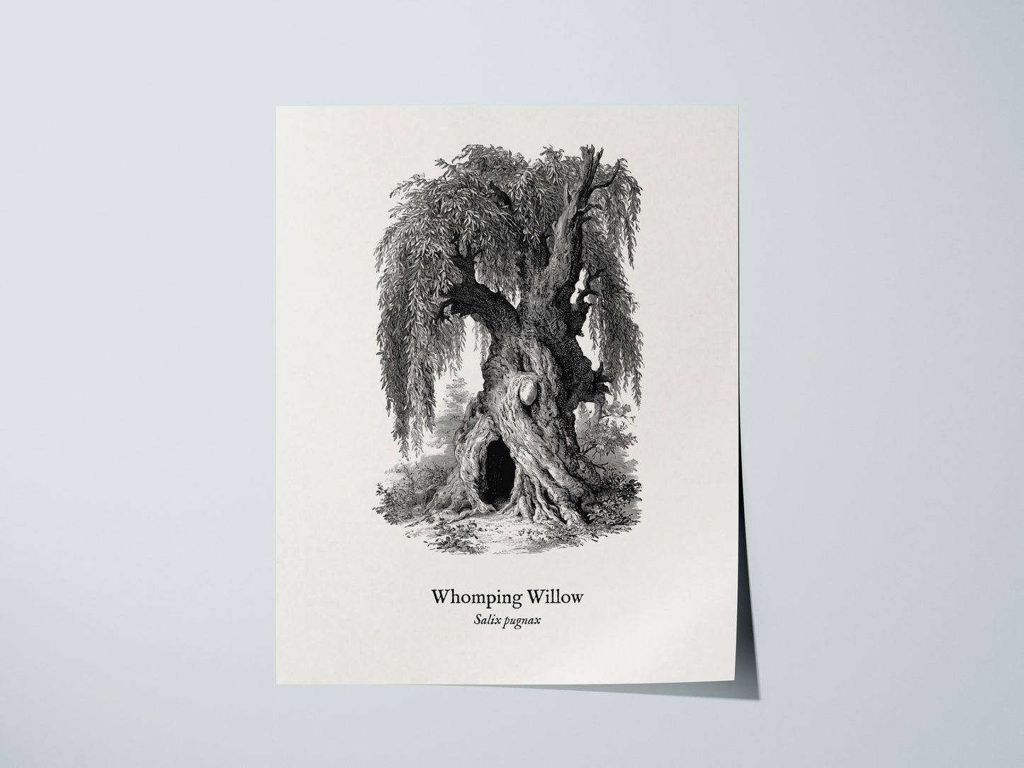 Print 01