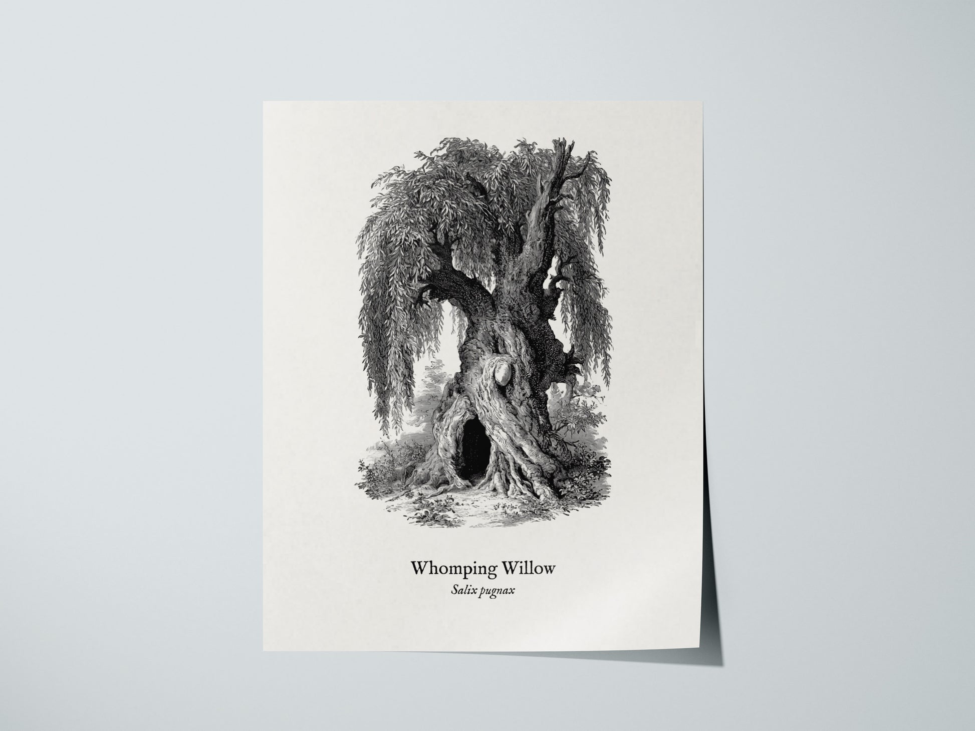 Print 01