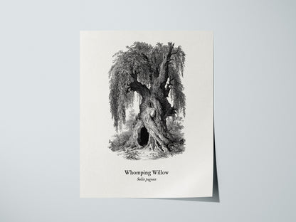 Print 01