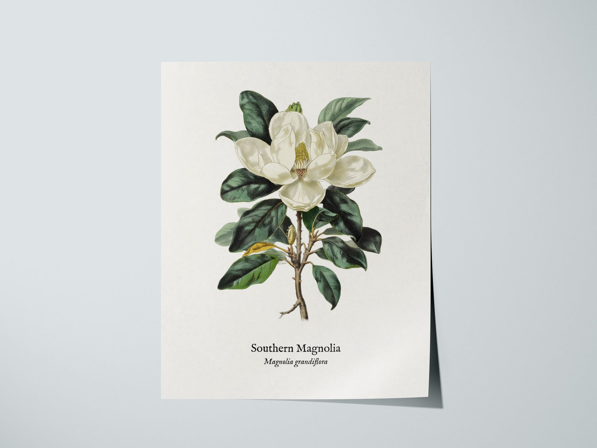 Print 01