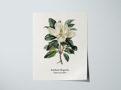 Print 01