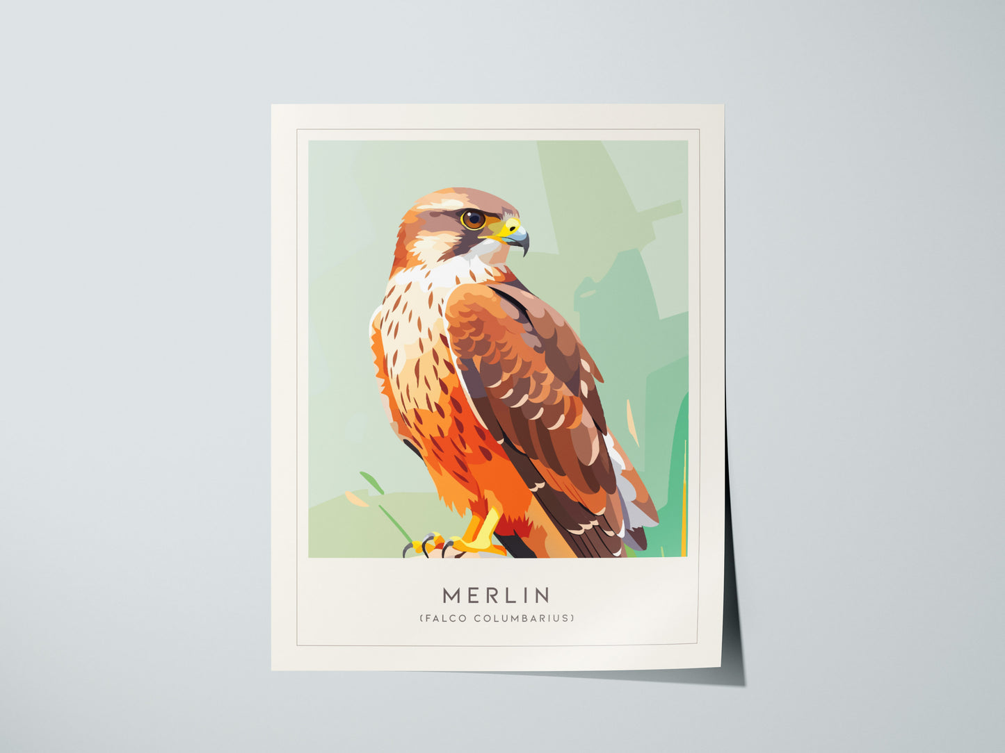 Merlin Bird Poster | Compact Falcon in Flight Wall Art — giclée print detail on matte paper