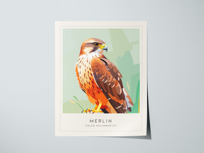 Merlin Bird Poster | Compact Falcon in Flight Wall Art — giclée print detail on matte paper