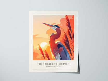 Print 01