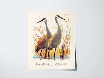 Illustration of two sandhill cranes standing in a wetland with tall grasses, featuring shades of brown, gray, and orange. The text Sandhill Crane is written at the bottom.