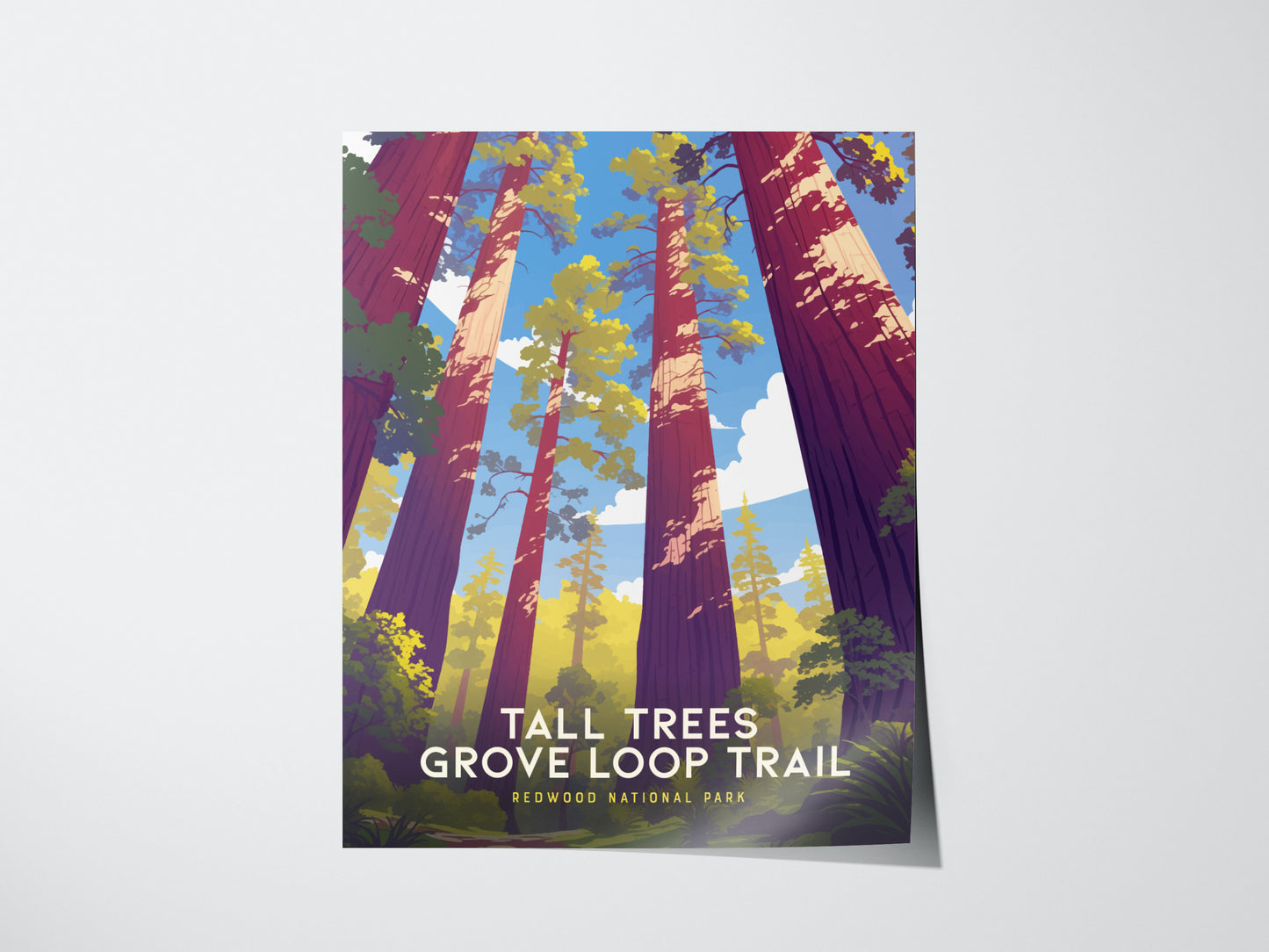 Tall Trees Grove Loop Trail Poster | Redwood National Park Art Gift