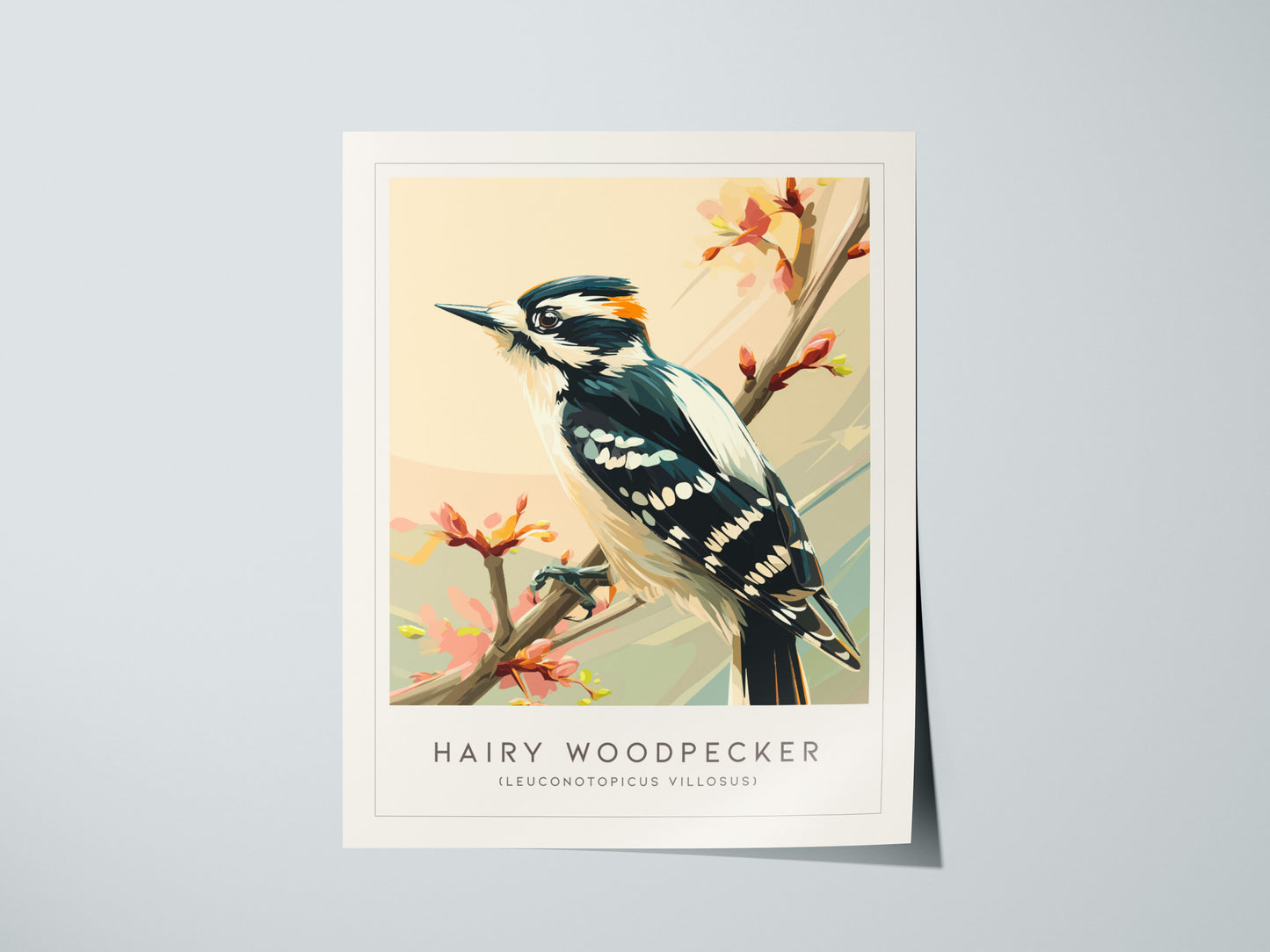 Hairy Woodpecker Poster | Bold Forest Bird Illustration Wall Art — giclée print detail on matte paper