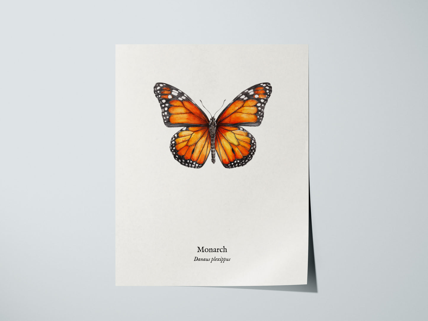 Print 01