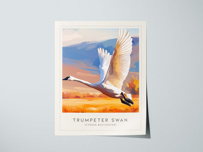 Trumpeter Swan Poster | Elegant Waterbird in Winter Calm Wall Art — giclée print detail on matte paper