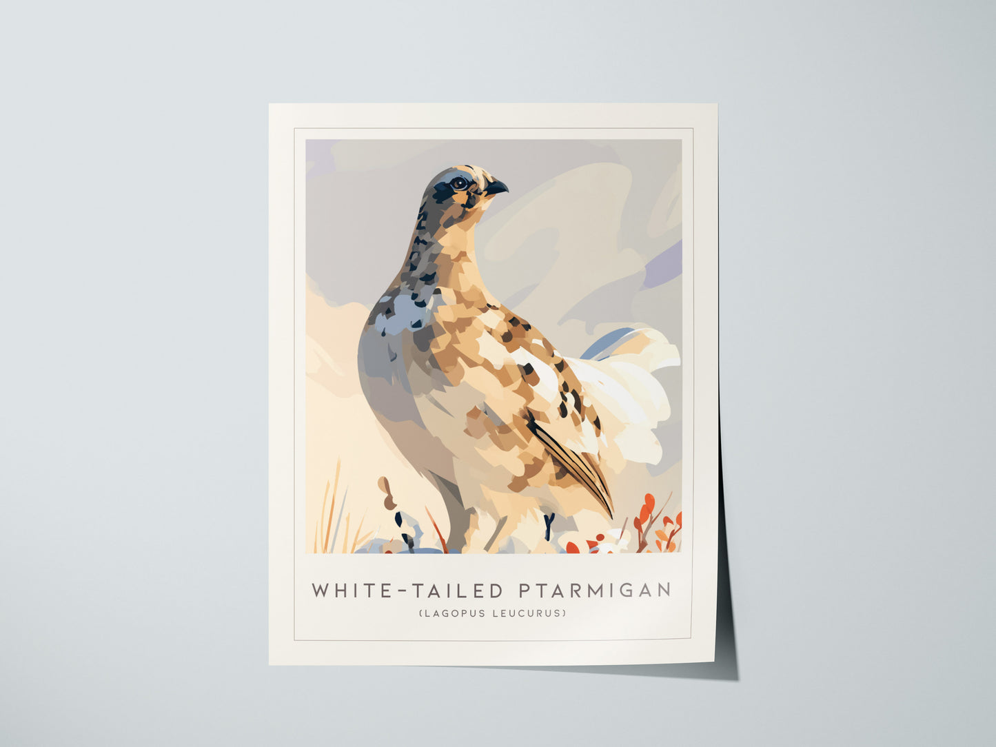 White-tailed Ptarmigan, Lagopus leucurus Poster | Alpine Bird Wall Art — giclée print detail on matte paper