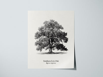 Print 01