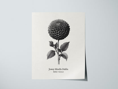 Print 01