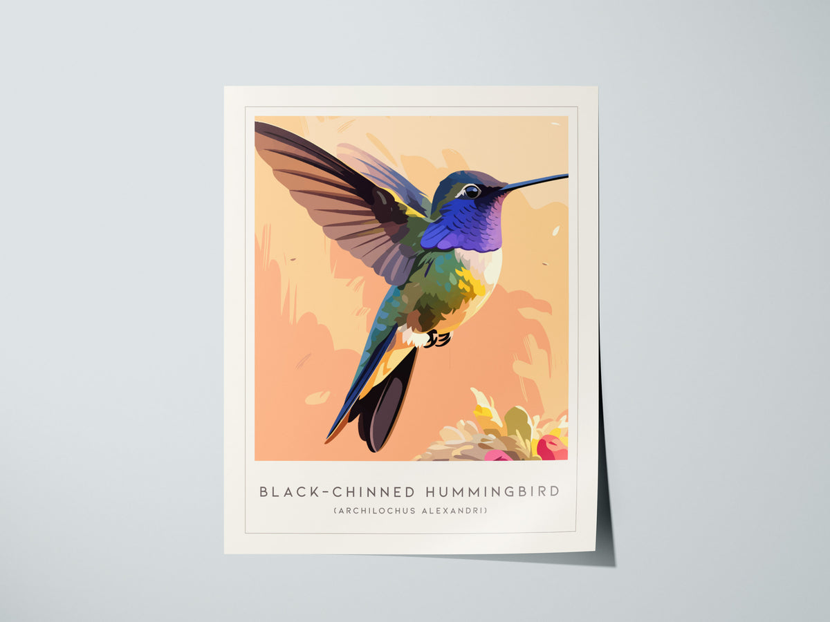 Black-chinned Hummingbird, Archilochus alexandri Poster | Jeweled Bird Wildlife Print Wall Art — giclée print detail on matte
