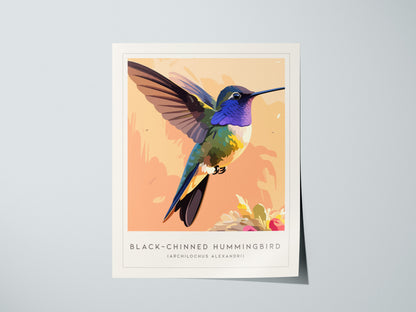 Black-chinned Hummingbird, Archilochus alexandri Poster | Jeweled Bird Wildlife Print Wall Art — giclée print detail on matte