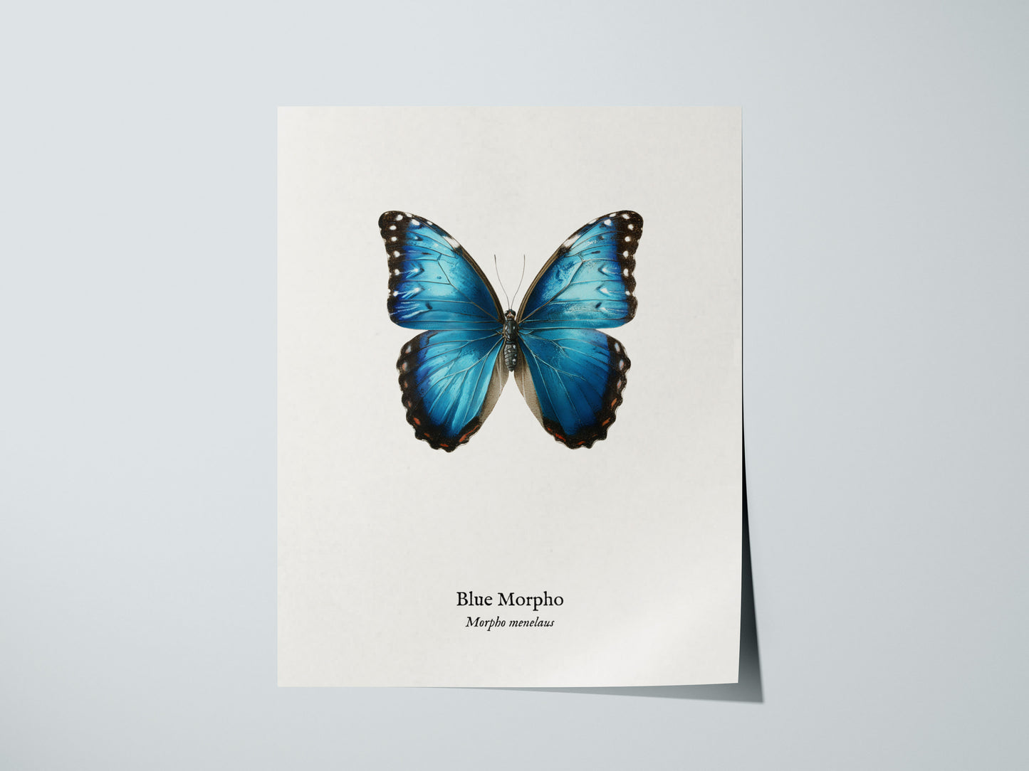 Print 01