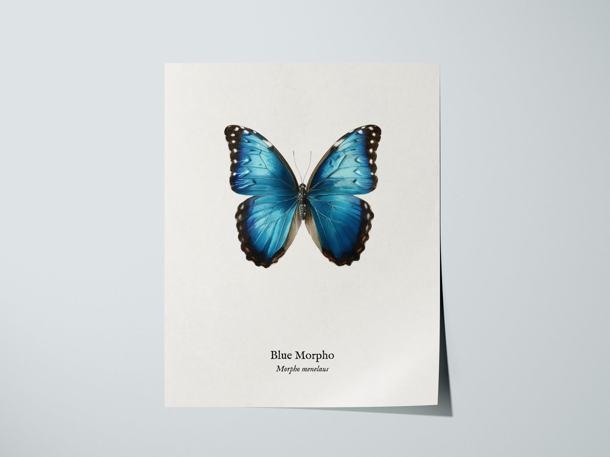 Print 01