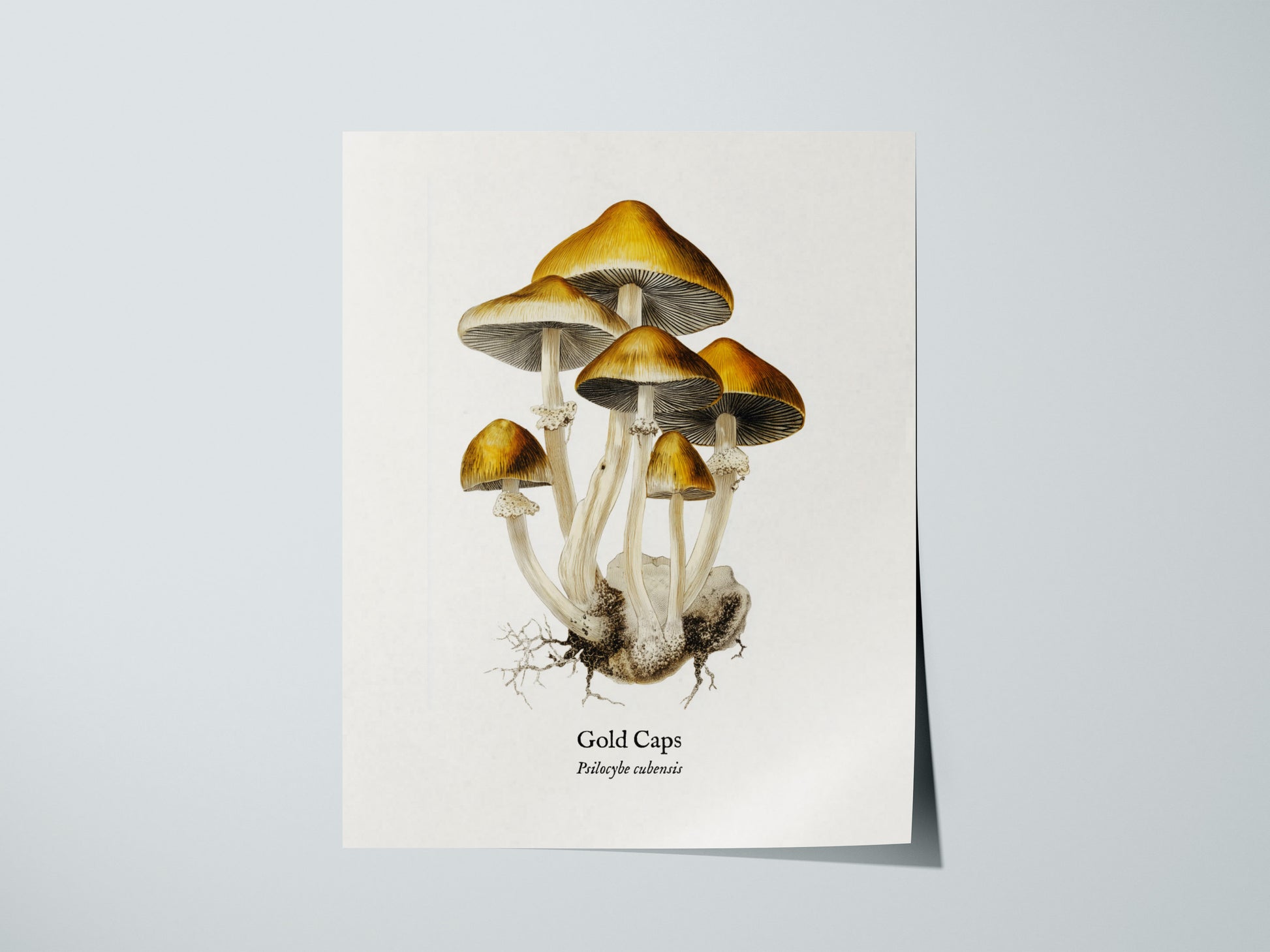 Print 01