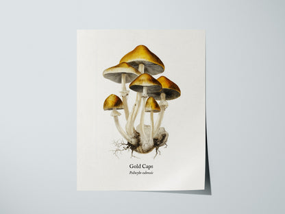 Print 01