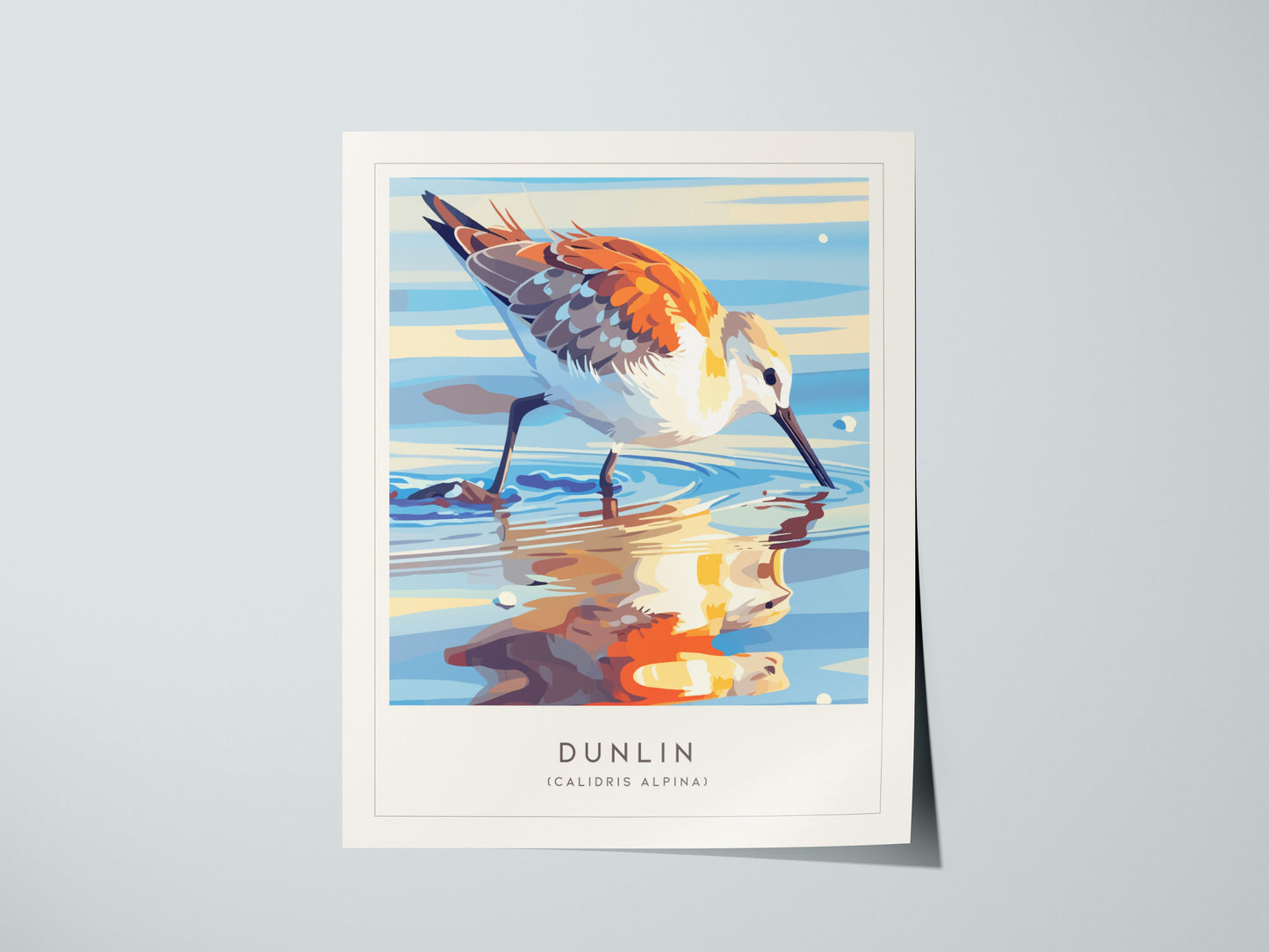 Print 01
