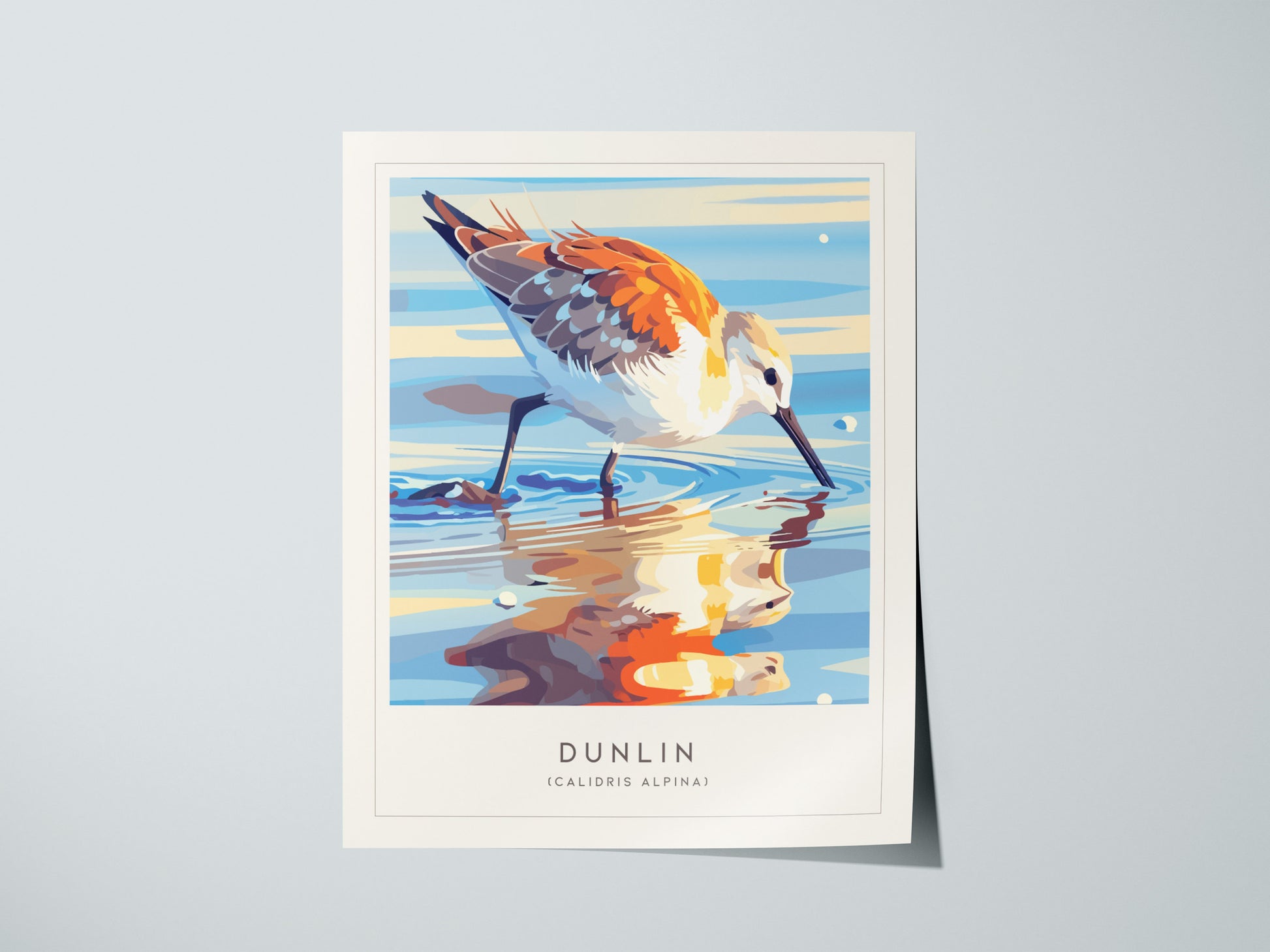 Print 01