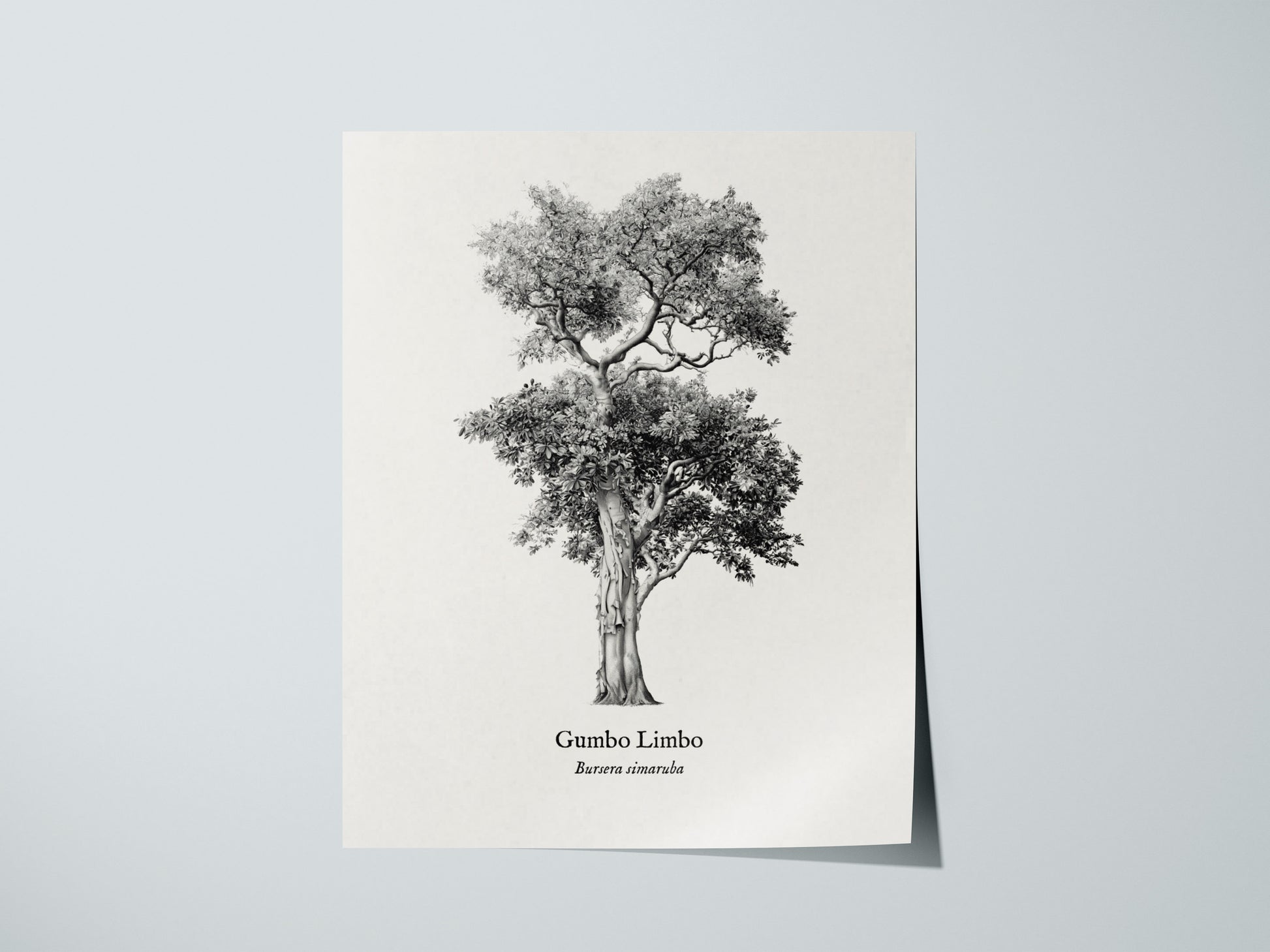 Print 01