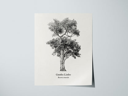 Print 01