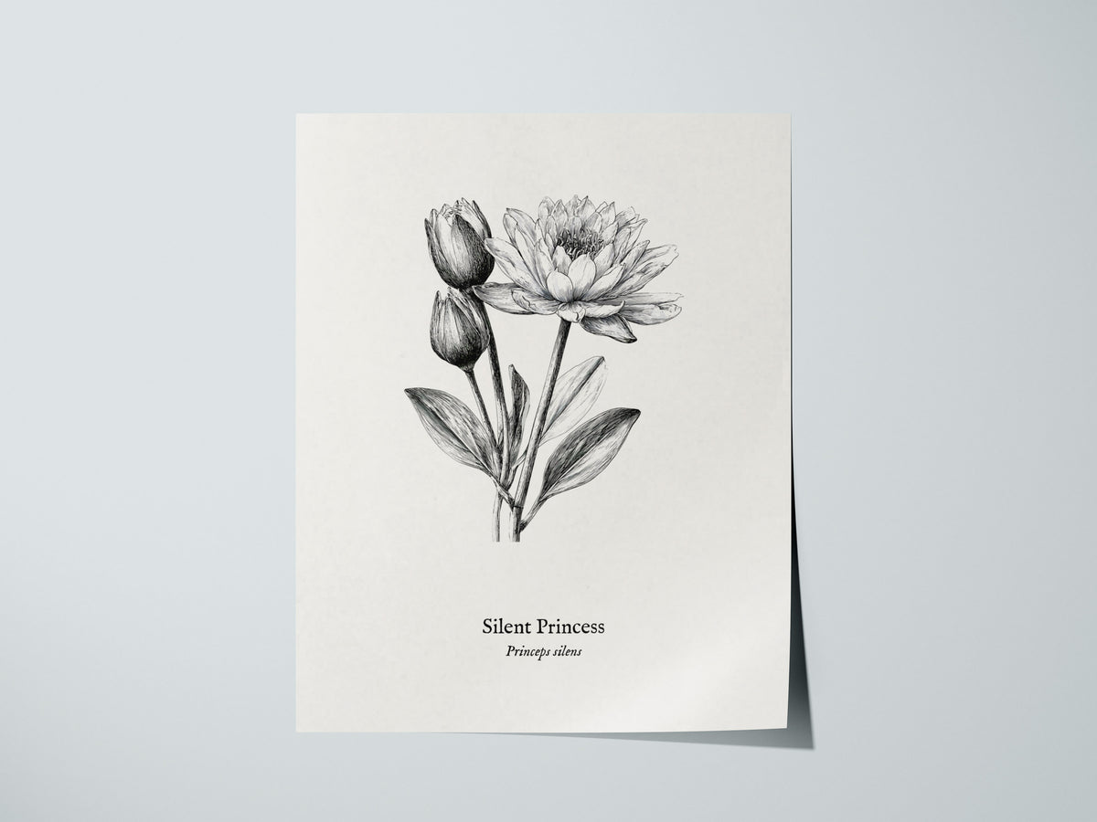 Silent Princess Poster | Princeps Silens Pen and Ink Print Vintage Scientific Illustration Wall Art — giclée print detail on