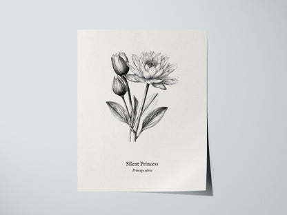 Silent Princess Poster | Princeps Silens Pen and Ink Print Vintage Scientific Illustration Wall Art — giclée print detail on