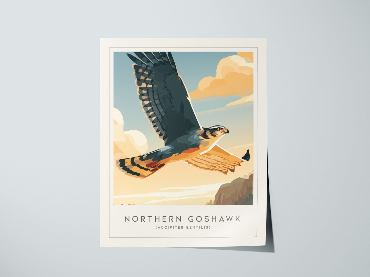 Northern Goshawk, Accipiter gentilis Poster | Fierce Raptor Bird Wall Art — giclée print detail on matte paper