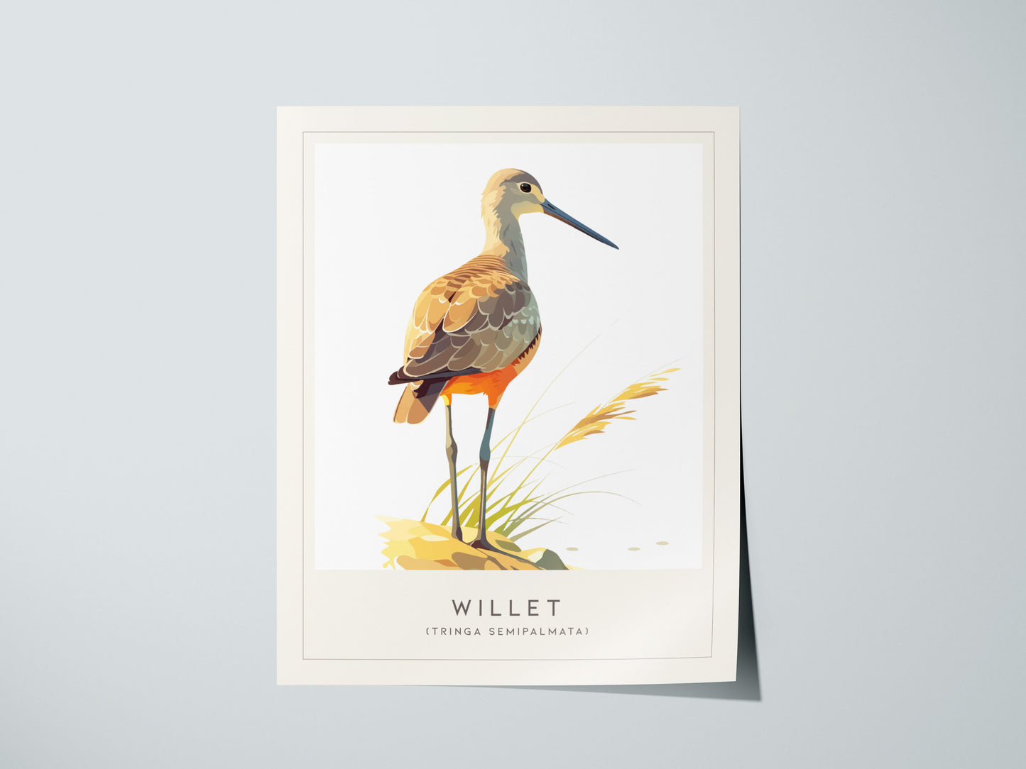Print 01