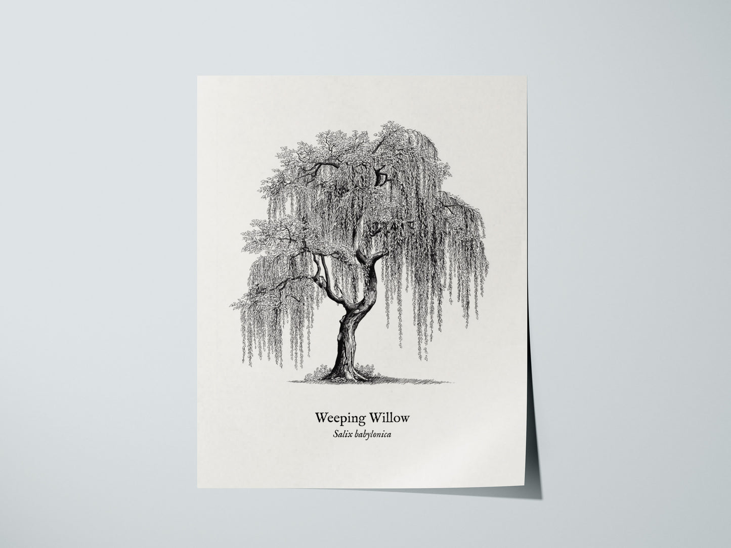 Print 01