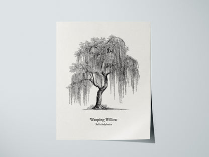 Print 01