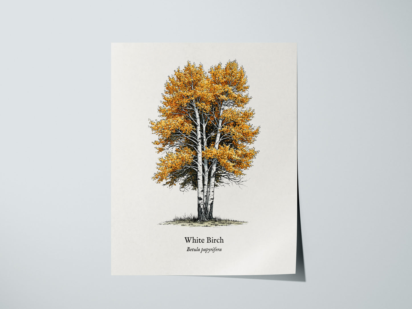 Print 01