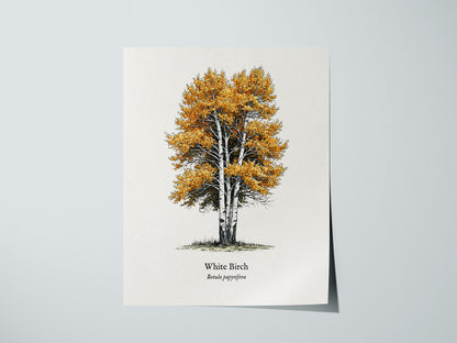Print 01