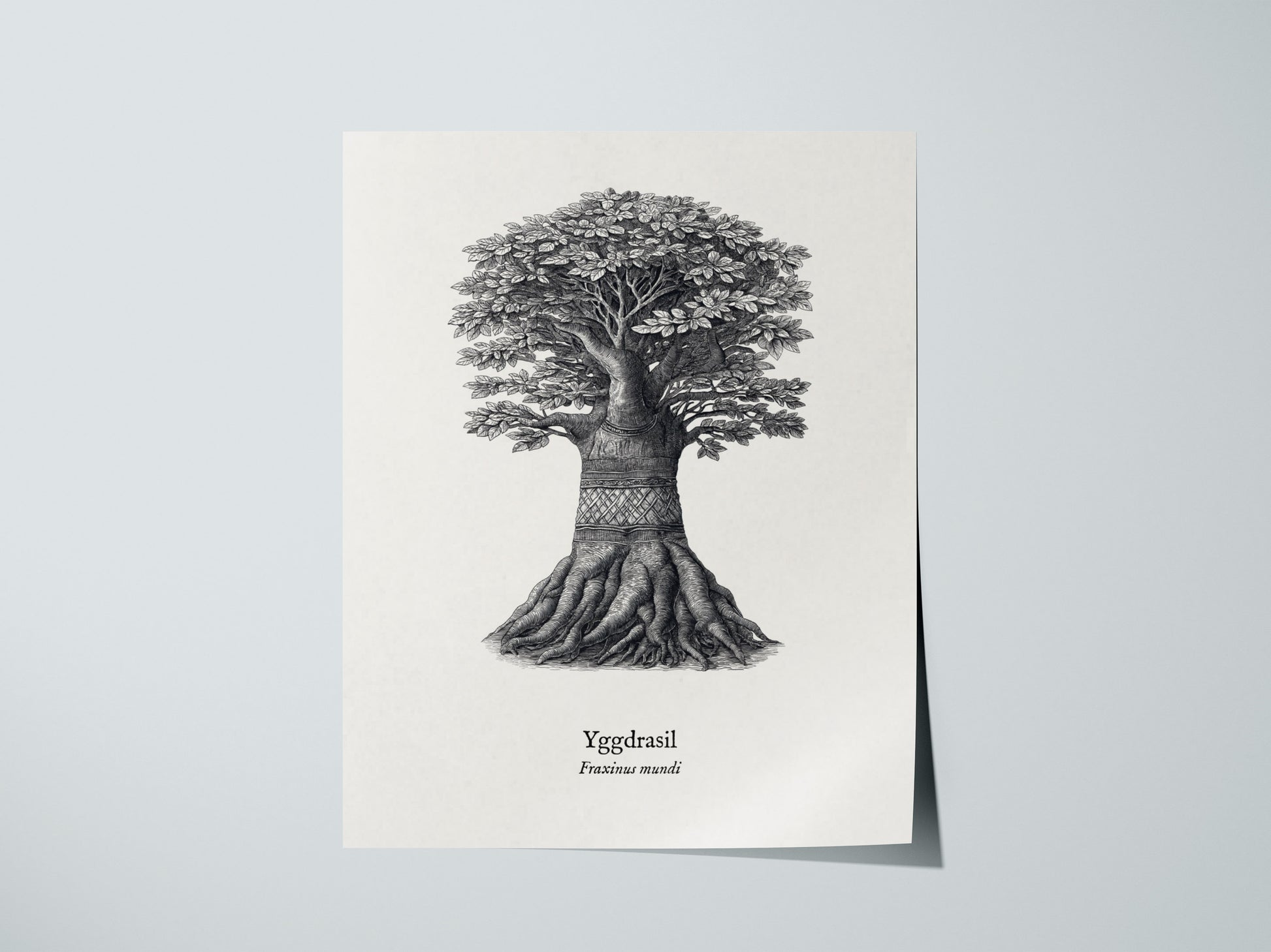 Print 01