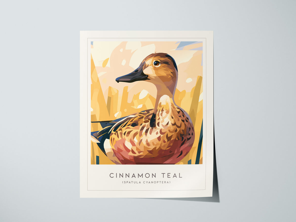 Cinnamon Teal, Spatula cyanoptera Poster | Vibrant Wetland Bird Wall Art — giclée print detail on matte paper