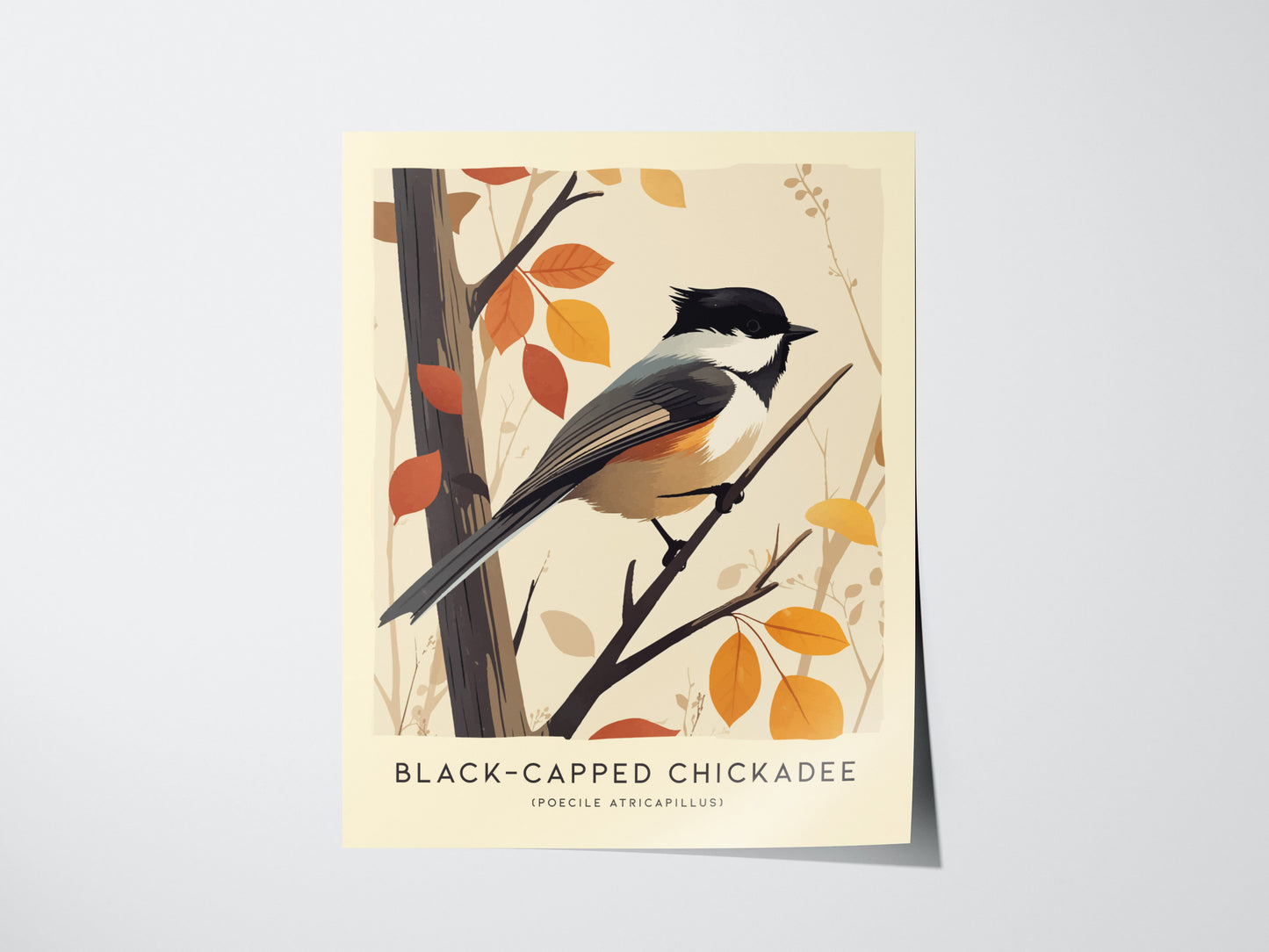 Black-Capped Chickadee Audubon Print | Modern Bird Lover Wall Art | Framed of Unframed
