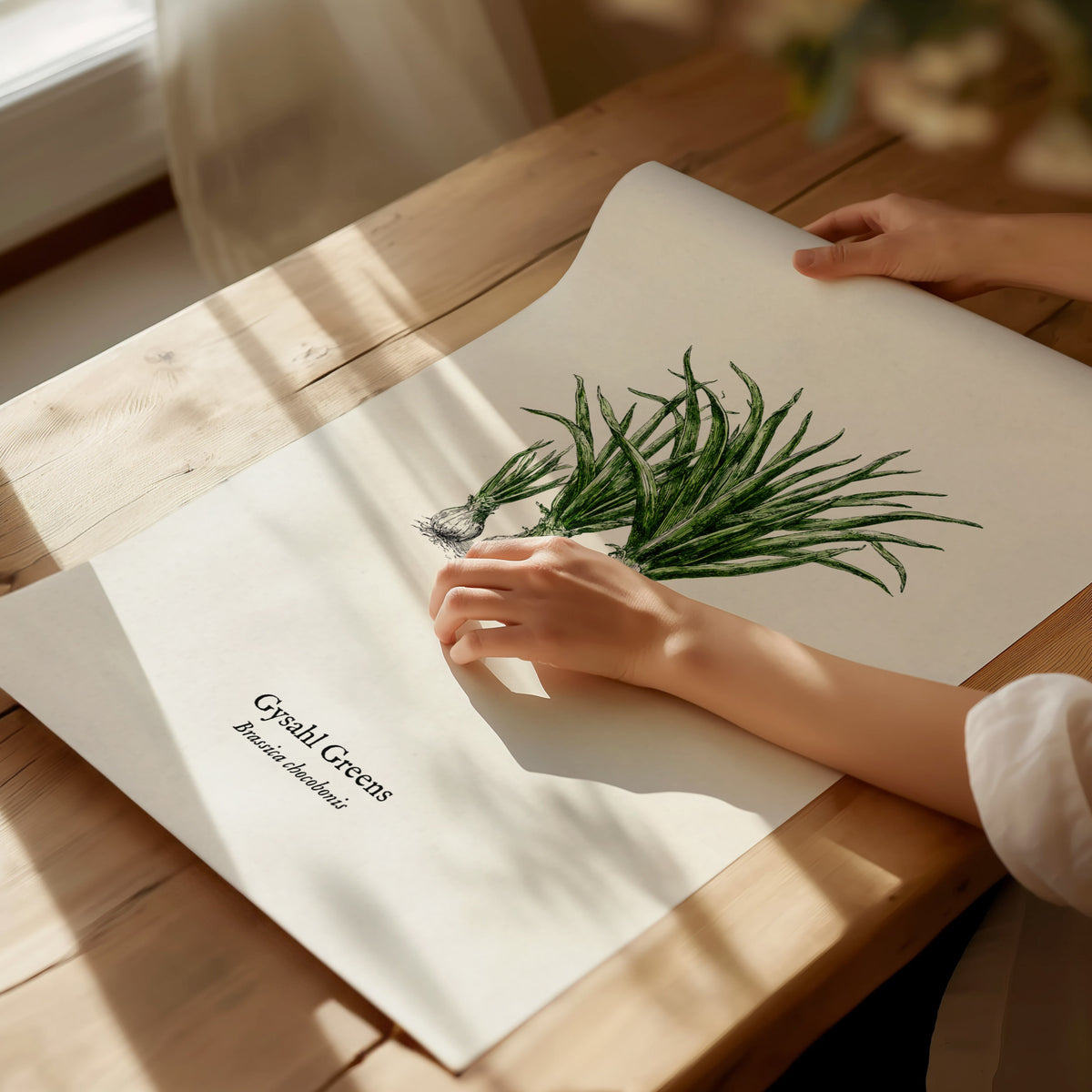 Gysahl Greens Poster | Brassica chocobonis Pen and Ink Print Vintage Botanical Illustration — giclée print detail on matte pa