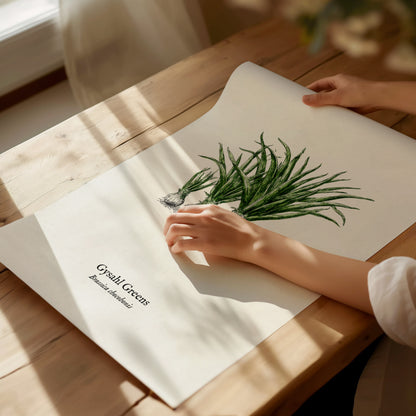 Gysahl Greens Poster | Brassica chocobonis Pen and Ink Print Vintage Botanical Illustration — giclée print detail on matte pa