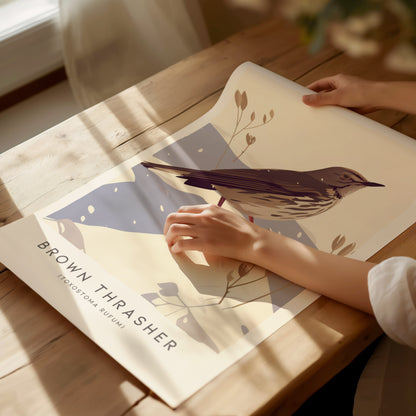 Brown Thrasher Audubon Print | Modern Bird Lover Wall Art | Framed or Unframed