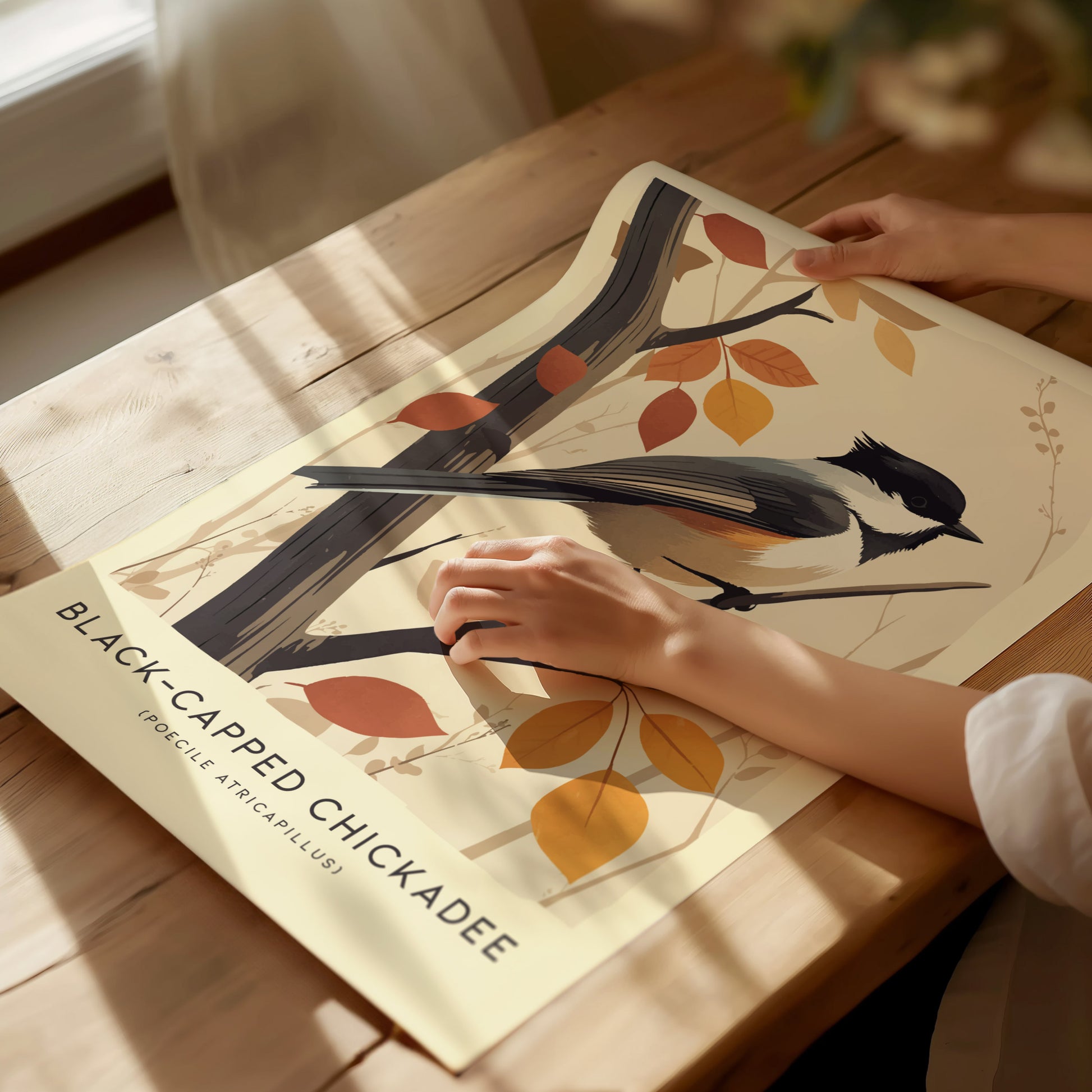 Black-Capped Chickadee Audubon Print | Modern Bird Lover Wall Art | Framed of Unframed