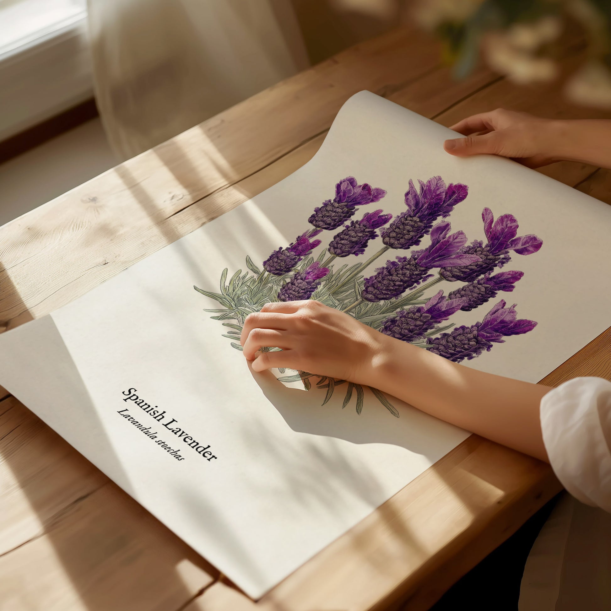 Print 02