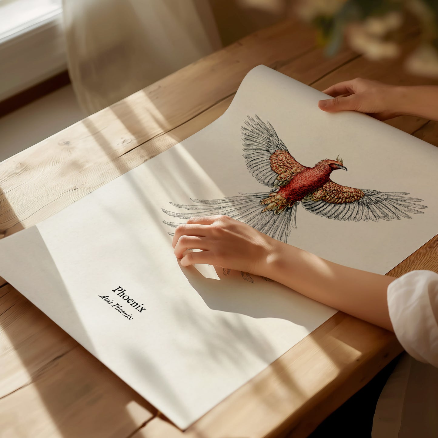 Phoenix Poster | Vintage Avis Phoenix Zoological Illustration Wall Art — giclée print detail on matte paper
