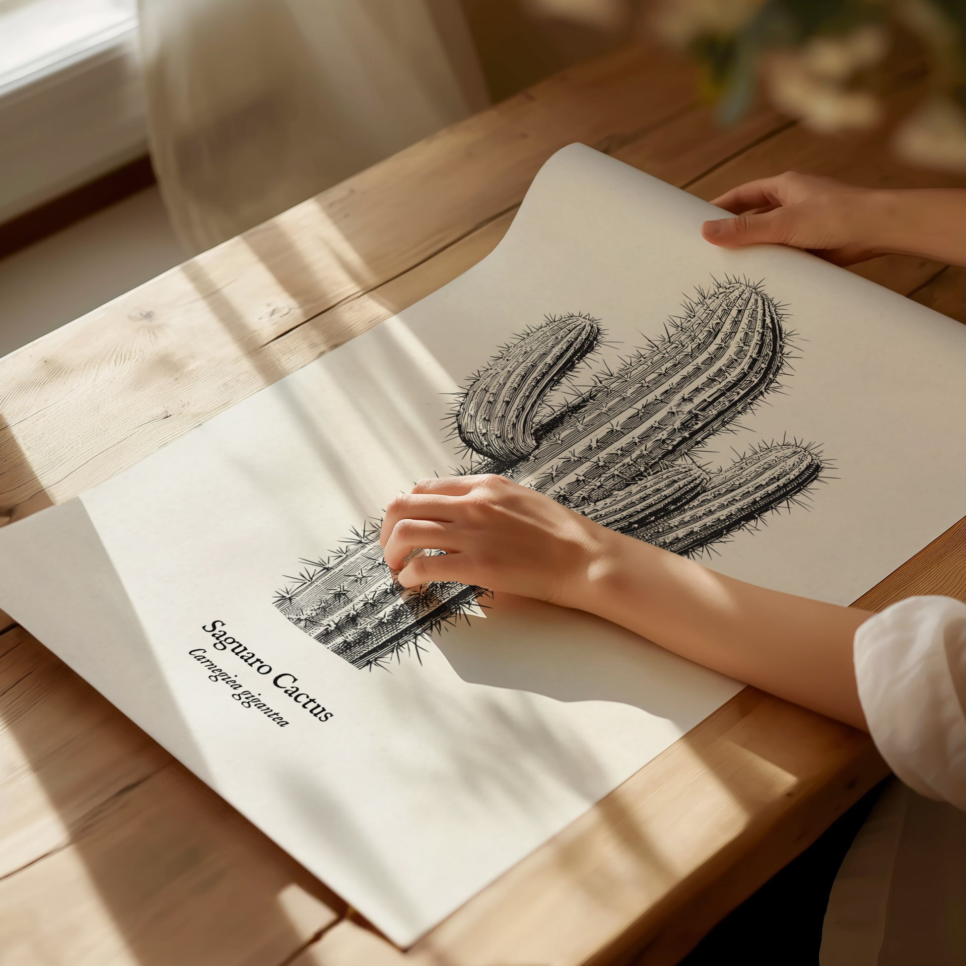 Saguaro Cactus Poster | Vintage Carnegiea gigantea Botanical Illustration Wall Art — giclée print detail on matte paper