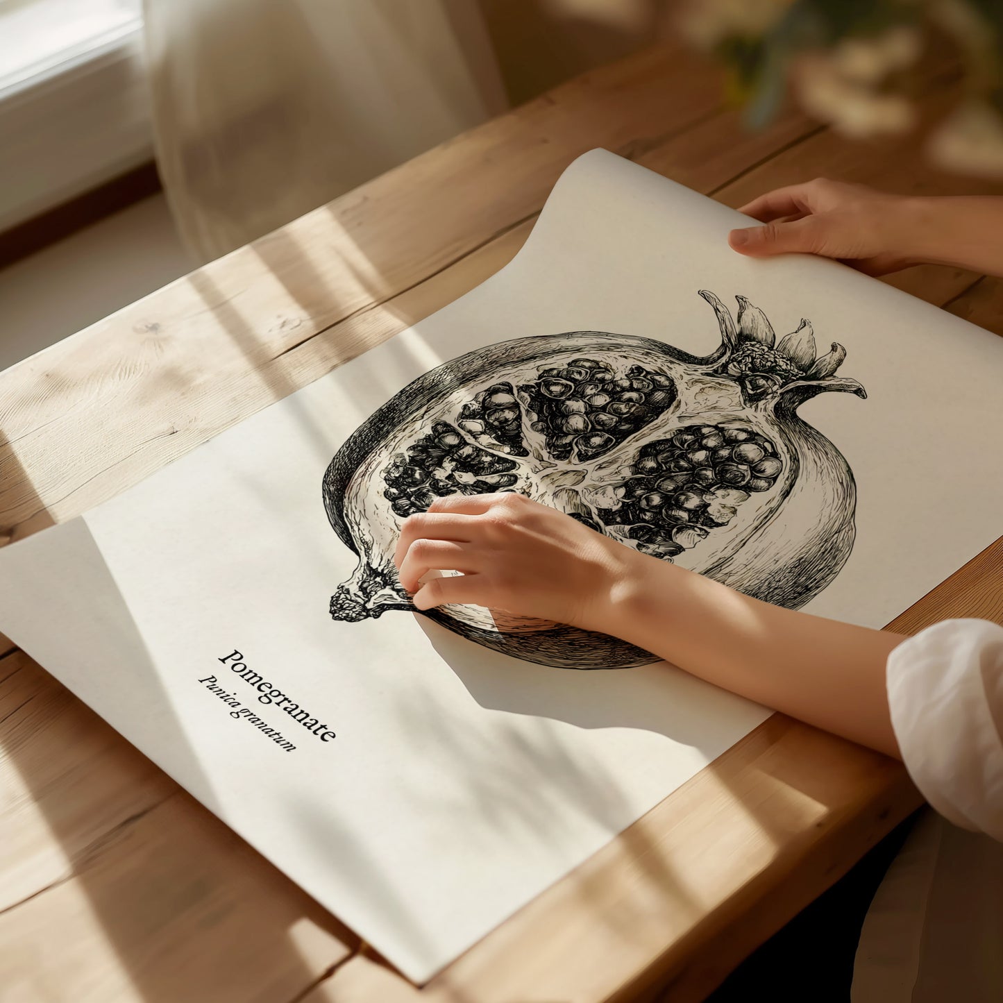 Pomegranate Poster | Vintage Punica granatum Botanical Illustration Wall Art — giclée print detail on matte paper