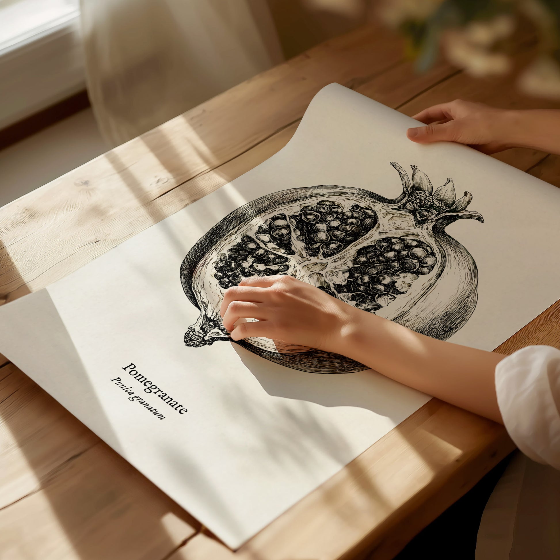 Pomegranate Poster | Vintage Punica granatum Botanical Illustration Wall Art — giclée print detail on matte paper