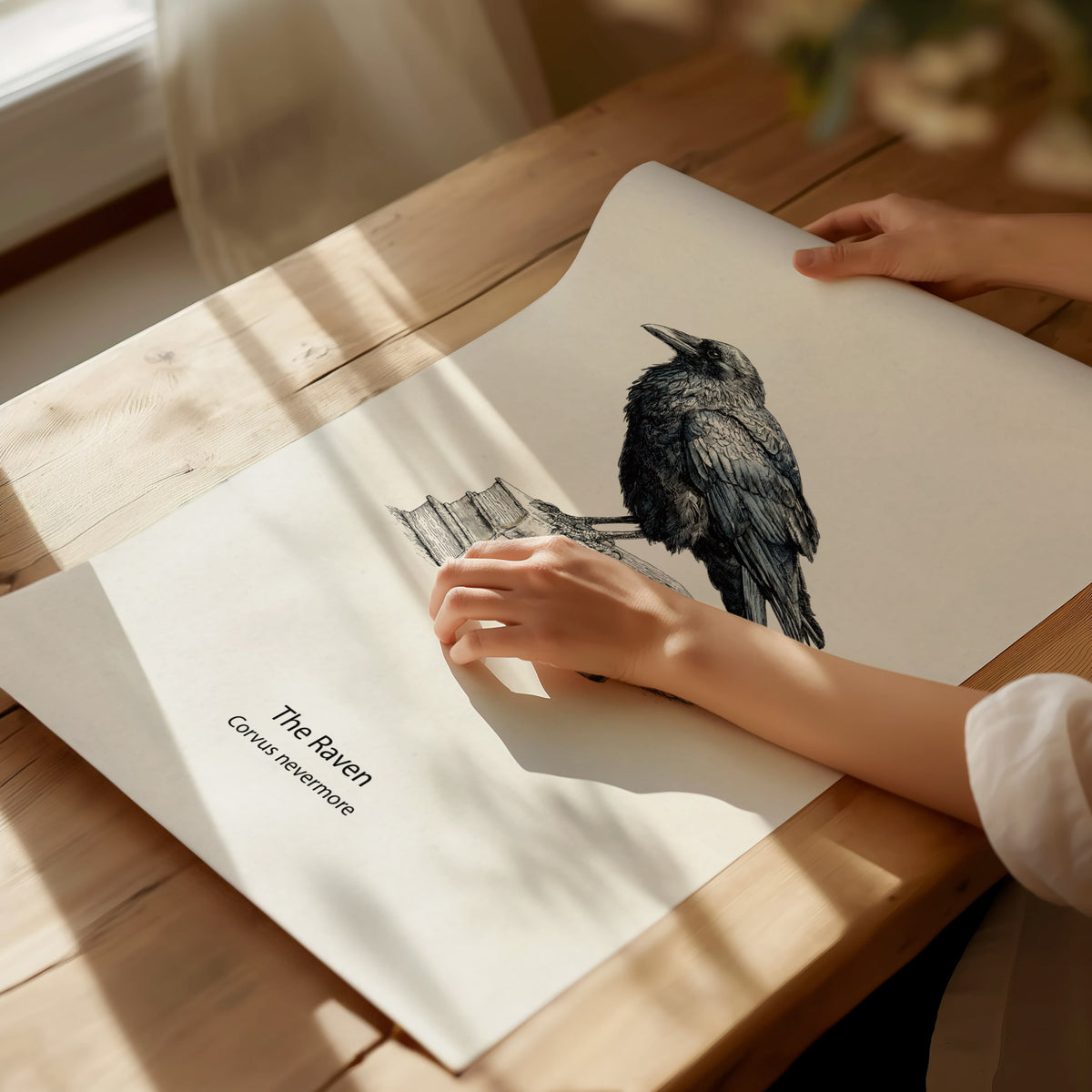 The Raven Poster | Corvus Nevermore Pen and Ink Print Zoological Illustration Wall Art — giclée print detail on matte paper