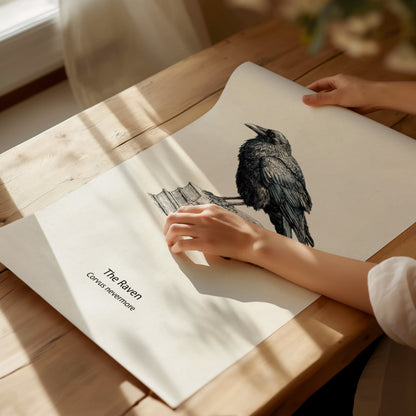 The Raven Poster | Corvus Nevermore Pen and Ink Print Zoological Illustration Wall Art — giclée print detail on matte paper