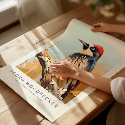 Acorn Woodpecker, Melanerpes formicivorus Poster | Bold Bird Wall Art Nature Print — giclée print detail on matte paper